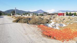 EVREN TEZCAN, BU GÖRÜNTÜLER ORTACAYA YAKIŞMADI