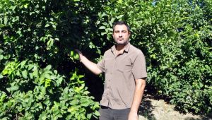 CHPLİ EVREN TEZCAN; İSTİKRARSIZLIK ÜRETİCİYİ VURDU