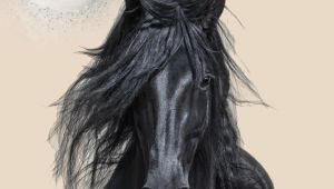 SARA GÜL TURAN “IN KARMA”SI GÖZ KAMAŞTIRIYOR