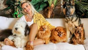 Köpeğini tedavi ettiren Seren Serengil, ödediği ücretlere sitem etti