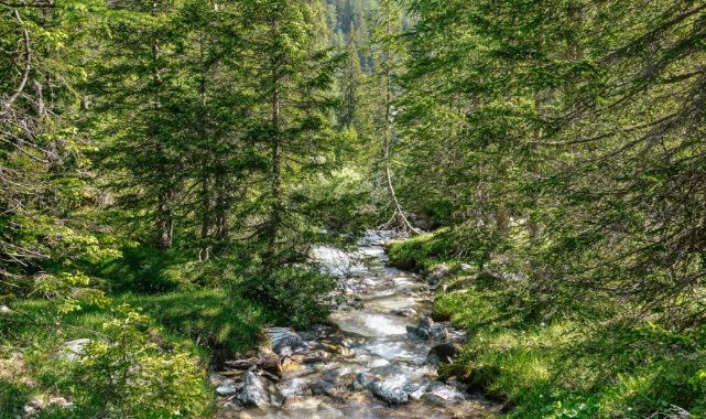 Geberit, Operasyonel Süreç ve Ürünleriyle Sürdürülebilirliğin Güçlü Destekçisi